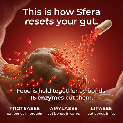 Sfera GutReset