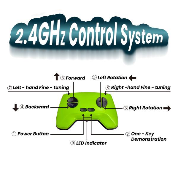 Wall Crawler Gecko - Electric Lizard Toy